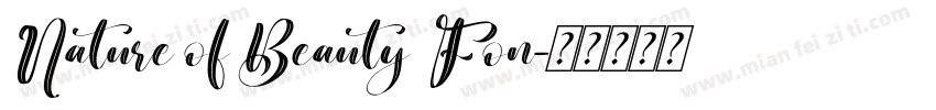 Nature of Beauty Fon字体转换